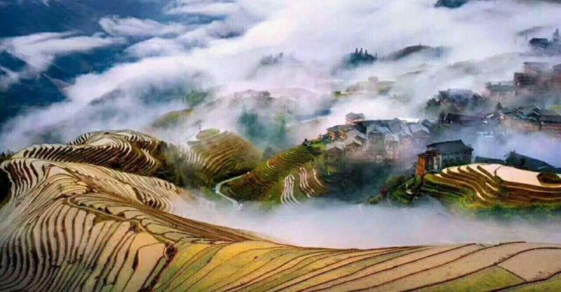 Guilin: Longji Rice Terraces& Long Hair Village Private Tour - Exploring Guilins Longji Rice Terraces & Long Hair Village: A Deep Dive