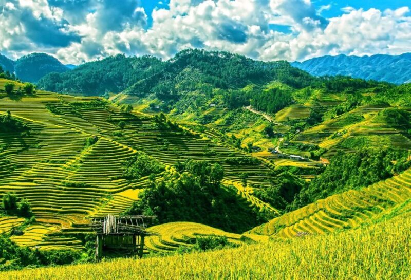 Guilin Longji Terraces Private Day Tour - Who Is This Tour Best For?