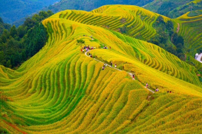 Guilin Longji Terraces Private Day Tour - FAQ