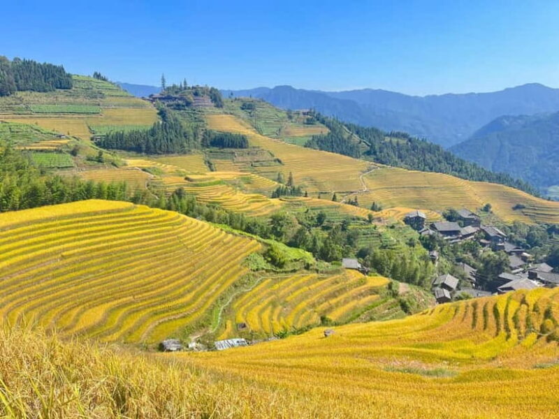 Guilin-Nanning: 8-Day Li River, Rice Terraces & Detian Falls - Who Should Consider This Tour?