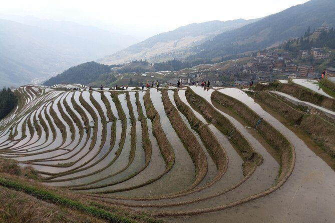 Guilin Tea plantation and Longji Rice Terraces Day Tour from Guilin hotel - FAQs