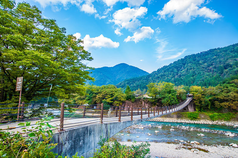 Gujo Hachiman & Hida Takayama & Shirakawa-go Gassho Village Day Trip - Is $49.29 good value?