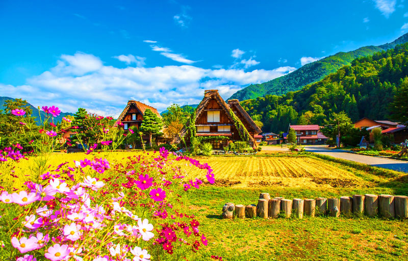 Gujo Hachiman & Hida Takayama & Shirakawa-go Gassho Village Day Trip - Prepare for a long ride and changing conditions