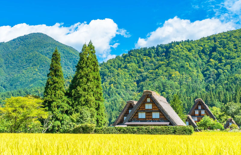 Gujo Hachiman & Hida Takayama & Shirakawa-go Gassho Village Day Trip - Who should book this day trip?