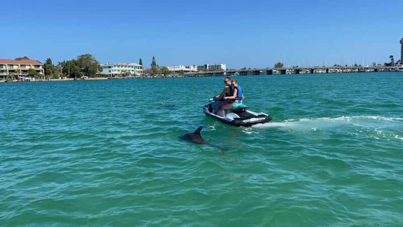 Gulf of Mexico: Guided Jet Ski Tour with Dolphin Watching - Key Points
