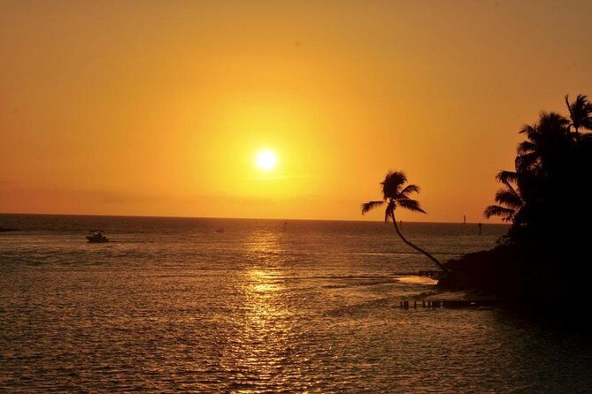 Gulf of Mexico Sunset Cruise from Naples - Key Points