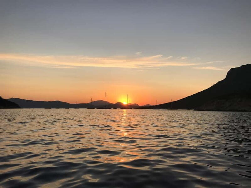 Gulf of Olbia: Dolphin watching by dinghy - A Deep Dive into the Dolphin Watching Experience