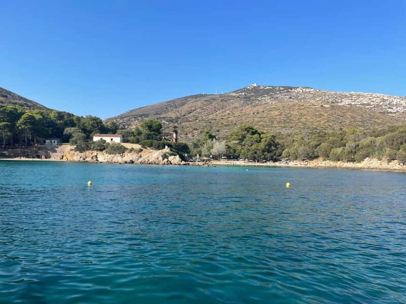 Gulf of Olbia: Dolphin watching by dinghy - Authentic Experiences and Authentic Reviews