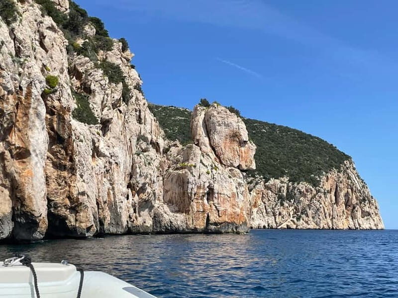 Gulf of Olbia: Dolphin watching by dinghy - Who Is This Tour Best For?