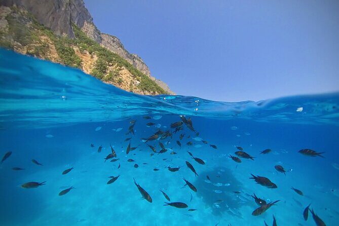 Gulf of Orosei Speedboat Trip with Aperitif from Cala Gonone - Exploring the Gulf of Orosei Speedboat Trip in Depth