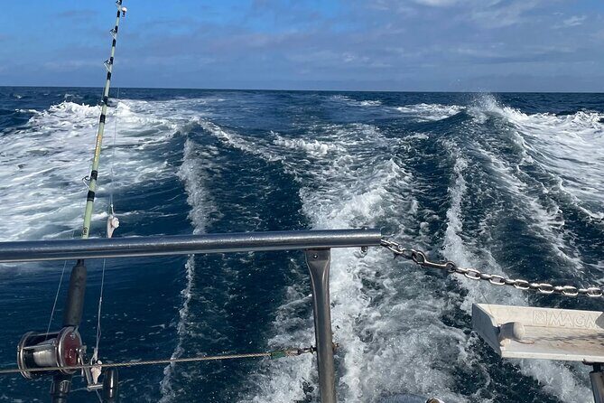 Gulf Stream Fishing Trip in Calabash - Who Would Enjoy This Trip?