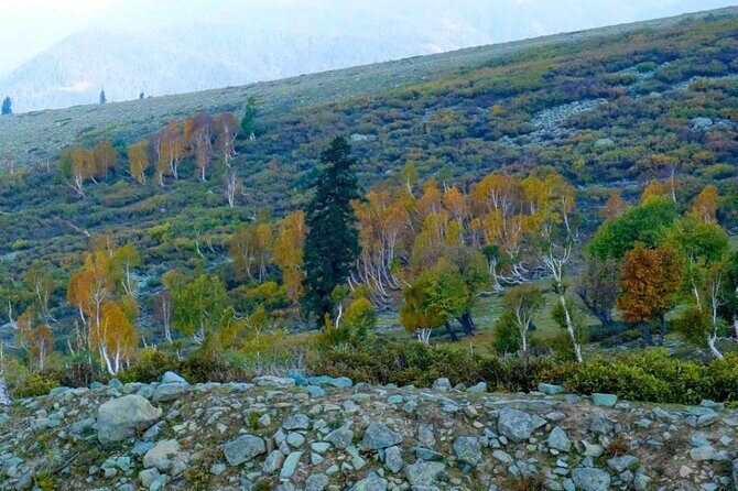 Gulmarg Adventure: A Thrilling Day Trip from Srinagar - The Value Proposition