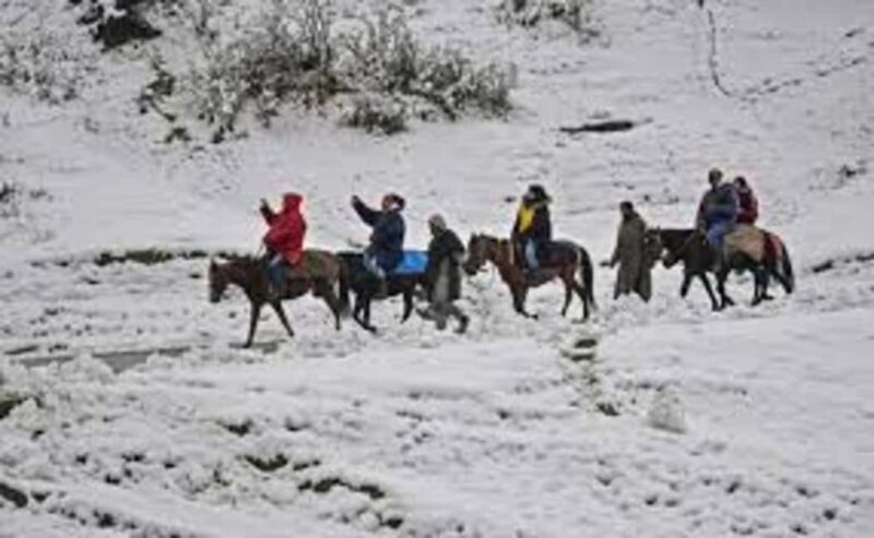 Gulmarg Day Trip: Horse Ride Through Scenic Landscapes - A Deep Dive into the Gulmarg Day Trip: What You Can Expect