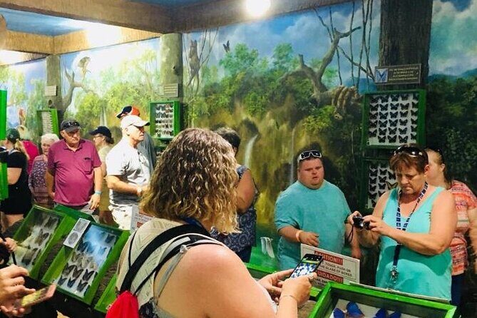 Gumbalimba Park & Tour - A Deep Dive into Gumbalimba Park & Tour