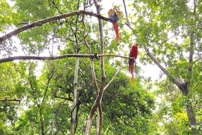 Gumbalimba Park & Tour - FAQ