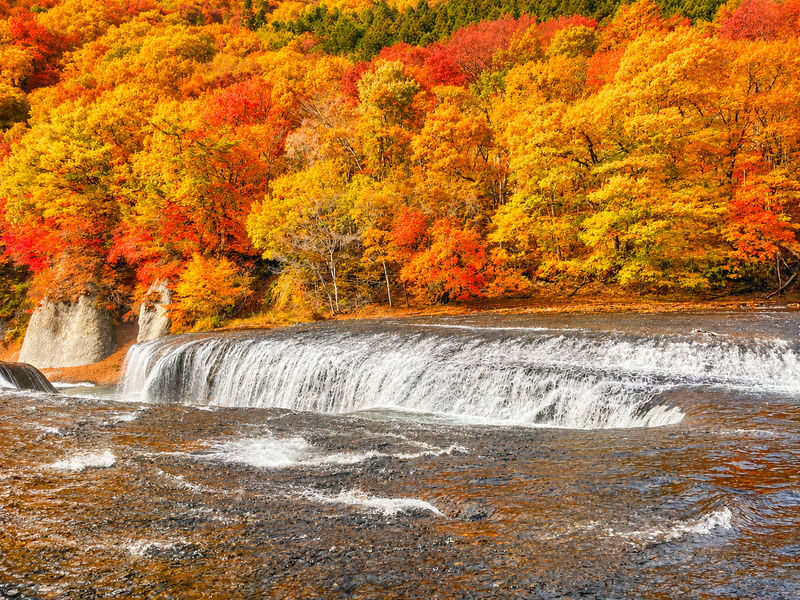 Gunma Day Trip: Autumn Fukiware Falls Maple Viewing/Winter Tambara Ski Park Snow Play & Fruit Picking Experience (Departing from Shinjuku, Tokyo) - Fukiware Falls: a short visit with big scenery