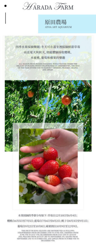 Gunma Harada Farm & Tambara Snow Park Full-Day Tour - Harada Farm and the strawberry stop
