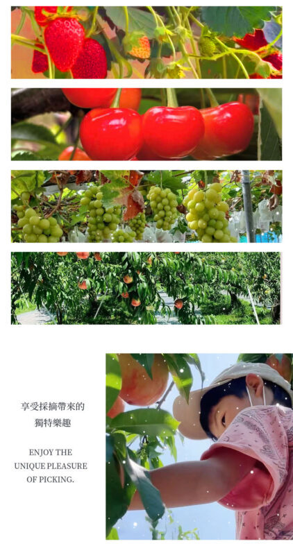 Gunma Harada Farm & Tambara Snow Park Full-Day Tour - Fukiware Falls: confirm before counting on it