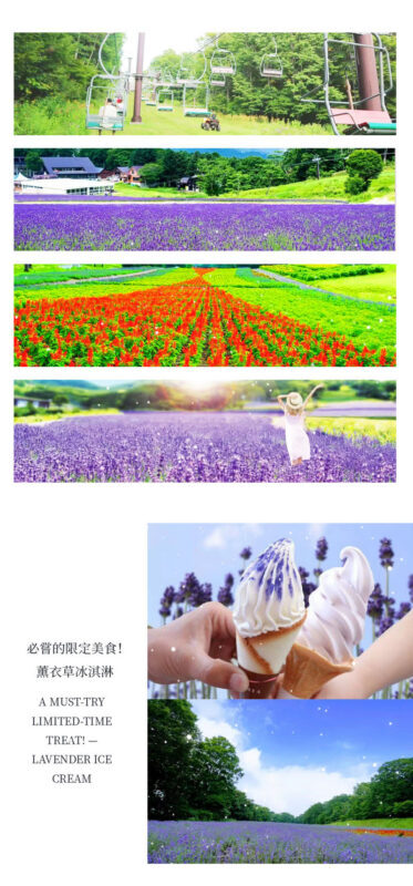 Gunma Harada Farm & Tambara Snow Park Full-Day Tour - Guide communication and group experience