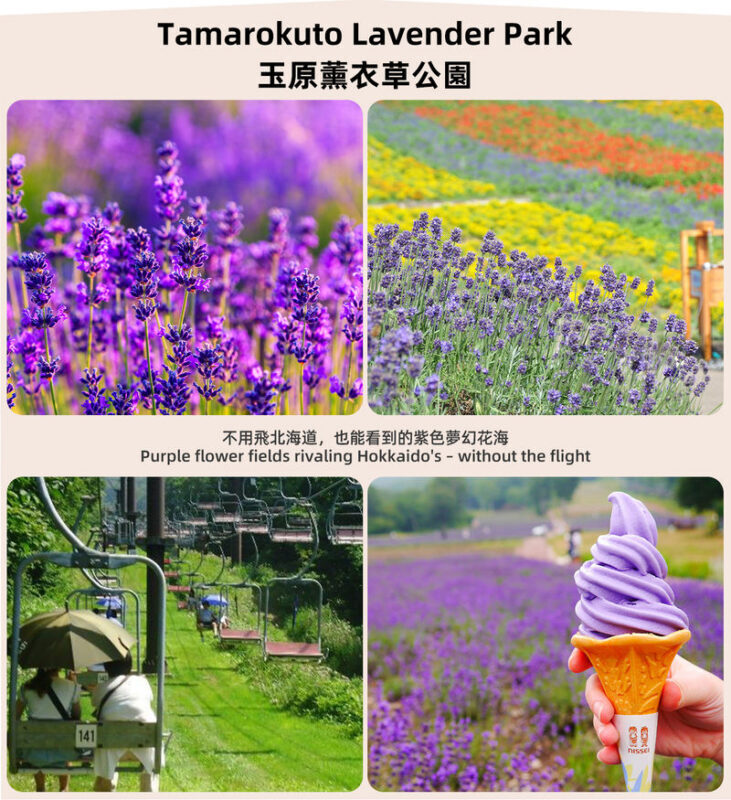 Gunma Rural Fun Tour: Fukiaware Falls & Harada Farm Fruit Picking & Lavender Flower Sea/Skiing/Ikaho Onsen Day Trip (From Tokyo) - Summer lavender, winter snow or Ikaho’s steps
