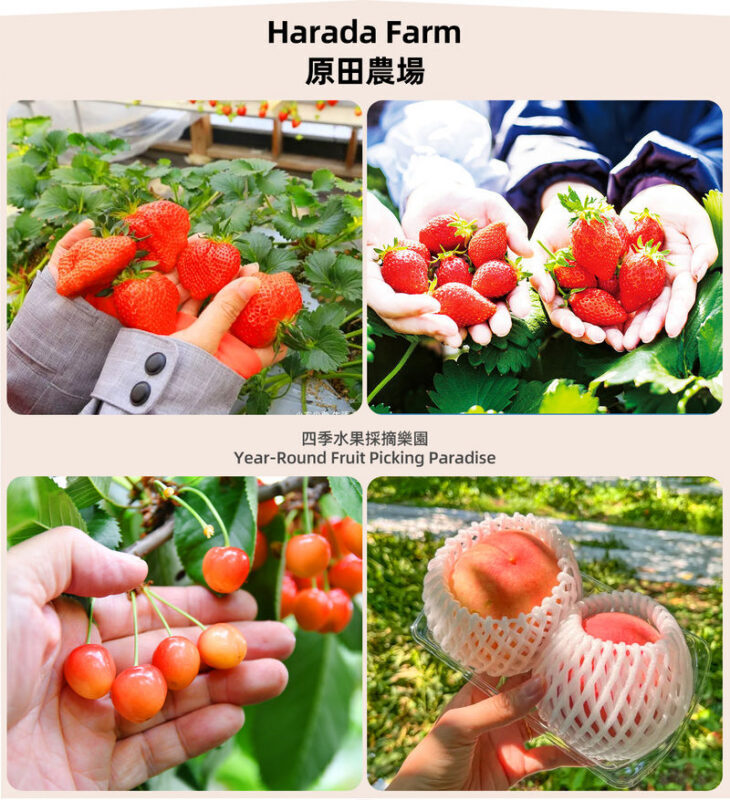 Gunma Rural Fun Tour: Fukiaware Falls & Harada Farm Fruit Picking & Lavender Flower Sea/Skiing/Ikaho Onsen Day Trip (From Tokyo) - The ride, the guide and the pace