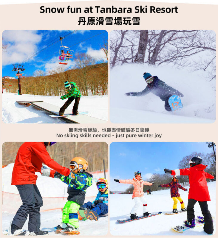 Gunma Rural Fun Tour: Fukiaware Falls & Harada Farm Fruit Picking & Lavender Flower Sea/Skiing/Ikaho Onsen Day Trip (From Tokyo) - What the $79 starting price gets you