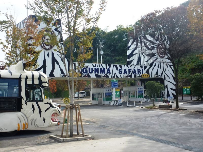 Gunma Safari Park Ticket - A safari park in the hills of Gunma