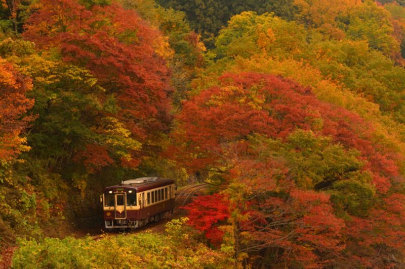 Gunma Watarase Keikoku & Takatsudo Gorge Autumn Day Tour - A countryside day, with a bright finish