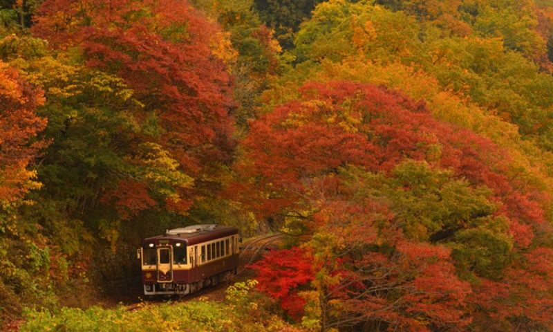 Gunma Watarase Keikoku & Takatsudo Gorge Autumn Day Tour - The bus ride out of Tokyo