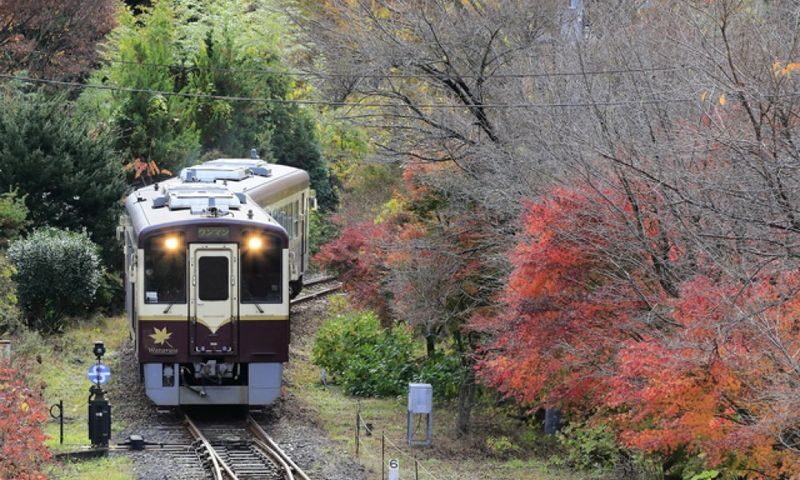 Gunma Watarase Keikoku & Takatsudo Gorge Autumn Day Tour - Riding the Watarase Valley Railway