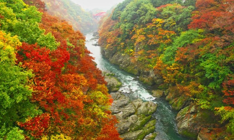 Gunma Watarase Keikoku & Takatsudo Gorge Autumn Day Tour - Takatsudo Gorge on foot