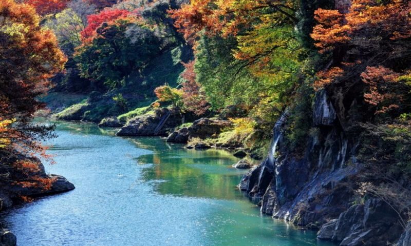 Gunma Watarase Keikoku & Takatsudo Gorge Autumn Day Tour - Autumn color: beautiful, but not on command
