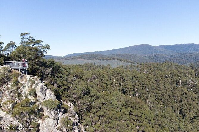 Gunns Pains Caves Sightseeing Tour - A Deep Dive into the Gunns Pains Caves Sightseeing Tour