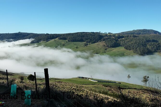 Gunns Pains Caves Sightseeing Tour - The Sum Up