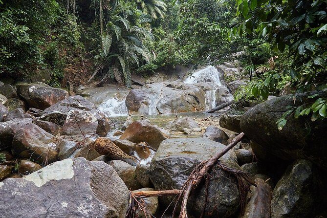 Gunung Gading National Park Tour - Final Thoughts