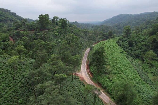 Guwahati Tea Garden tour @ Amchong - A Deep Dive into the Guwahati Tea Garden Experience
