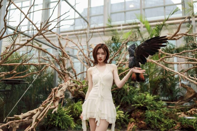 Gyeonggi: Gaypeong Begonia Bird Park Entry Ticket - Key Points