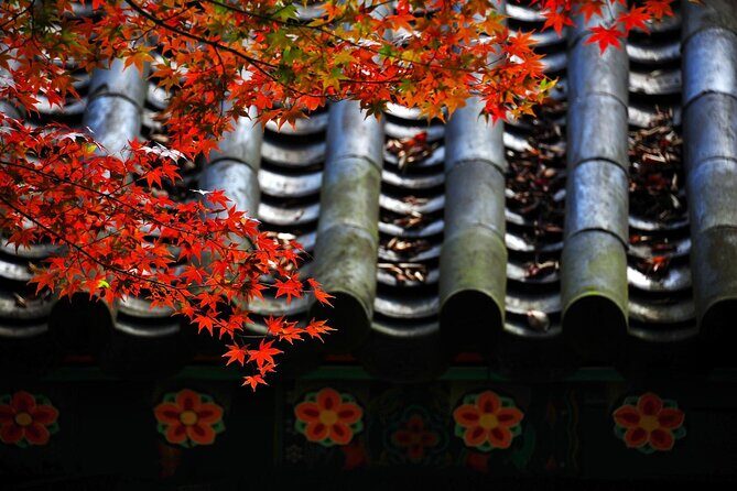 Gyeongju Maple Tour from Busan - Final Thoughts: Should You Book This Tour?