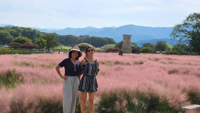 Gyeongju: Private Car Tour with a Licensed Tour Guide - Practical Details