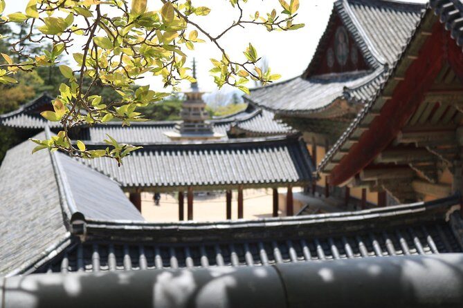 Gyeongju The UNESCO World heritage sites tour(Private tour) - Key Points