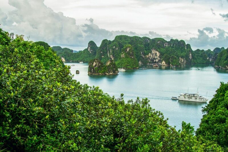 H Long: Inland City Tour - A Close-Up of Ha Long’s Inland Treasures: Long Tien, Hon Gai, and More