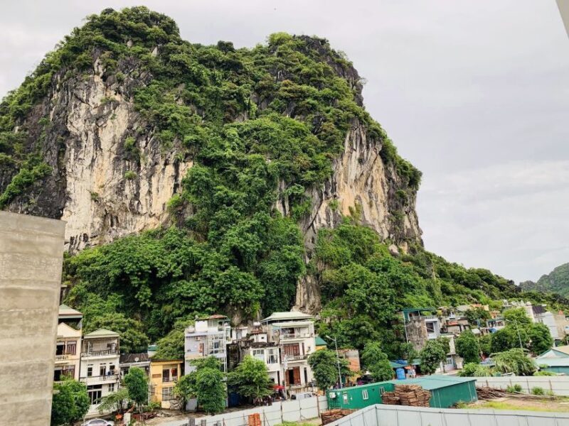 H Long: Inland City Tour - Who Would Enjoy This Tour?