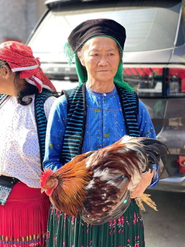 Ha Giang: 3-Day Guided Car Tour with Homestay - Concluding thoughts