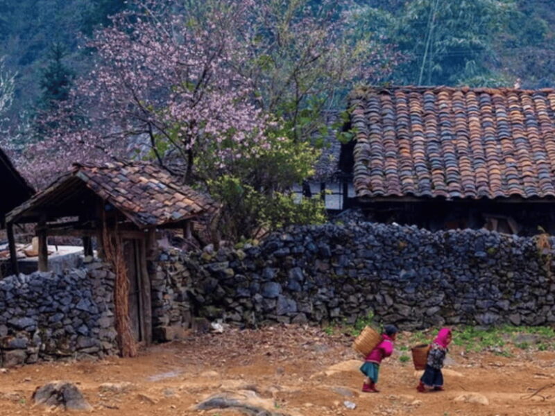 Ha Giang 3 Days 2 Nights Self-Driving from Hanoi or Sapa - FAQs