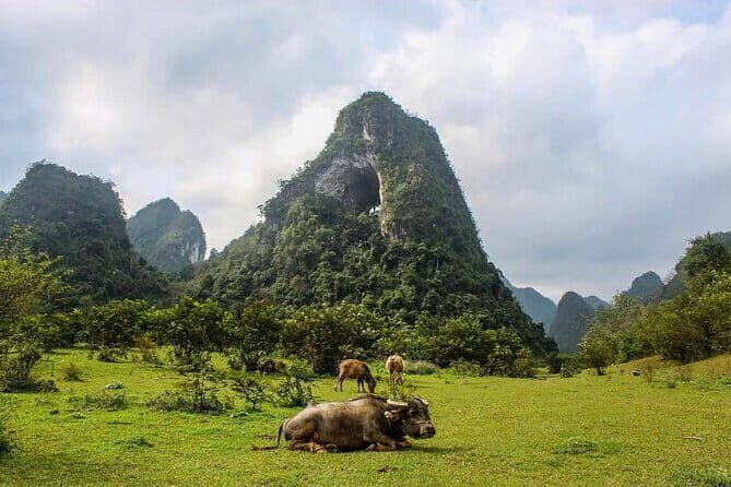 Ha Giang Cao Bang Loop 5 Days Private Tour with English Guide - Who Will Love This Tour?