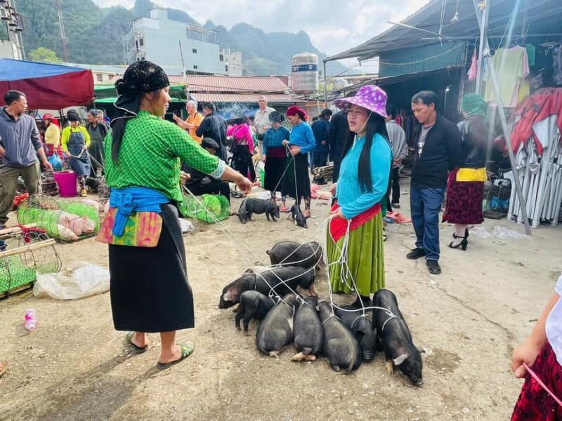 Ha Giang: Dong Van Market Fair Tour with Guide - Key Points