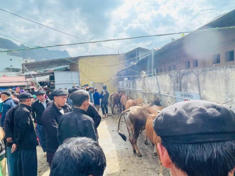 Ha Giang: Dong Van Market Fair Tour with Guide - A Detailed Look at the Tour Experience
