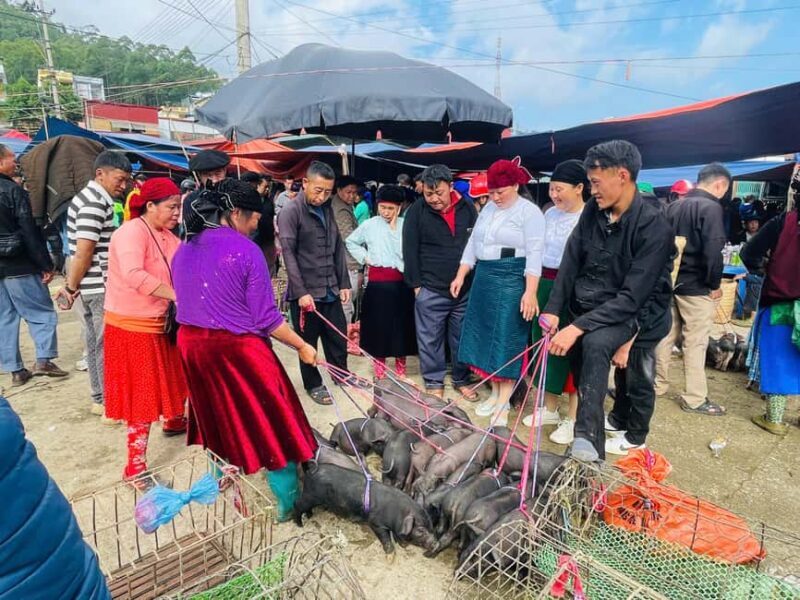 Ha Giang: Dong Van Market Fair Tour with Guide - Frequently Asked Questions