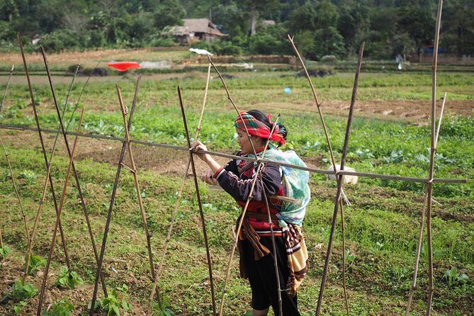 Ha Giang Easy Rider 3D3N - A Deep Dive into the Ha Giang Easy Rider Experience