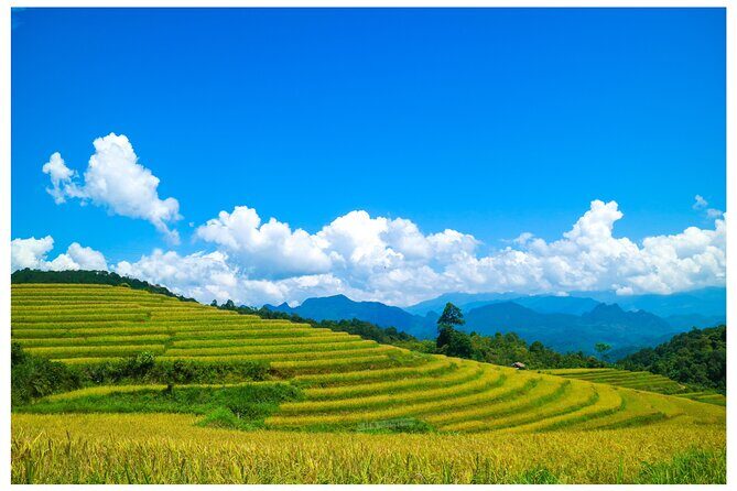 Ha Giang Loop 2D/1N Private Room + Free Stay Hotel 1N before tour - A Deep Dive into the Ha Giang Loop 2D/1N Tour